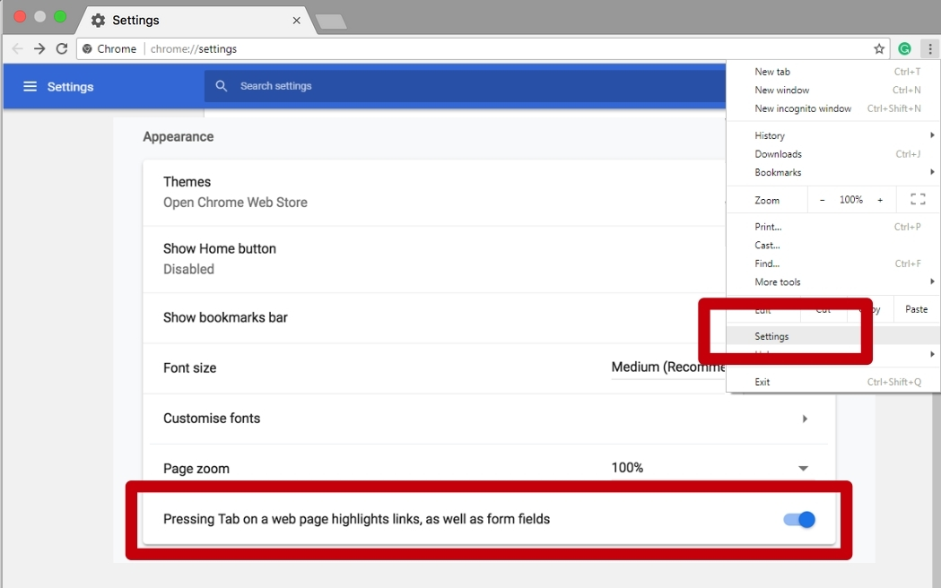 The Chrome Settings page. The screenshot is highlighting the selection of the 'Pressing Tab on a webpage highlights links, as well as form fields' switch.